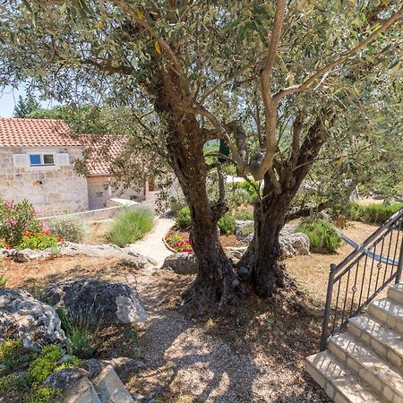 Olive Garden Lägenhet Ston Exteriör bild