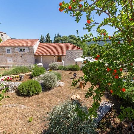 Olive Garden Lägenhet Ston Exteriör bild