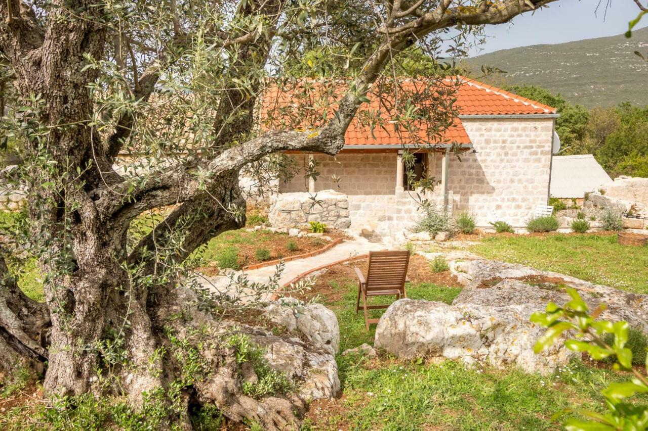 Olive Garden Lägenhet Ston Exteriör bild